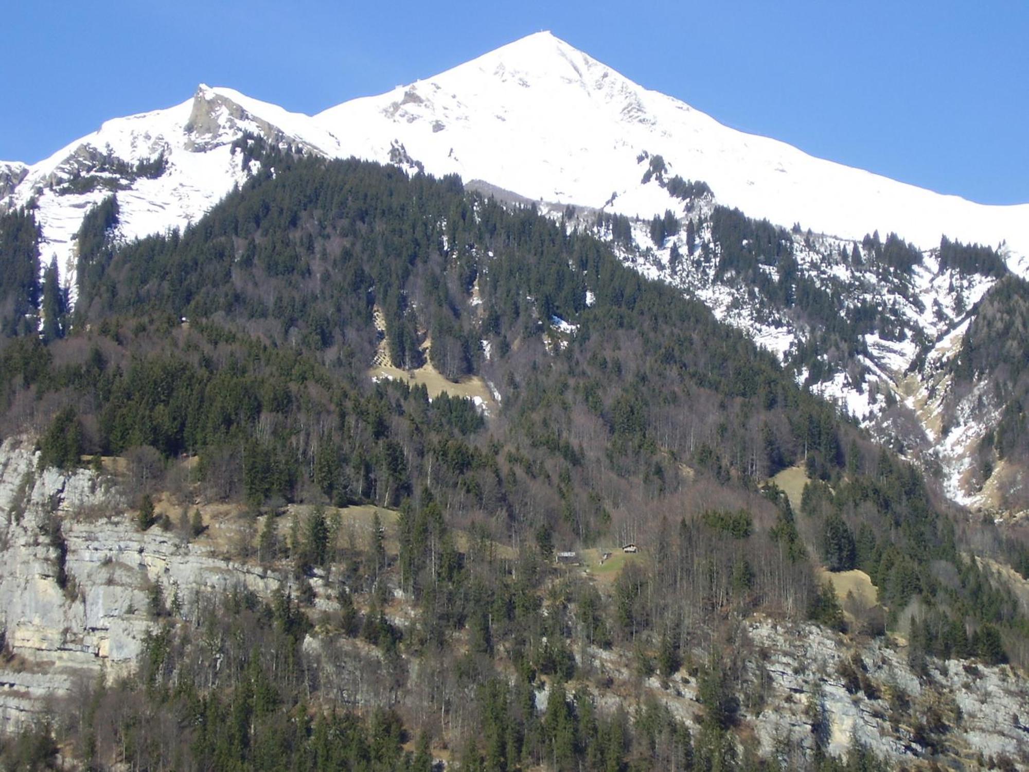 Seeli Hofstetten bei Brienz Exterior photo