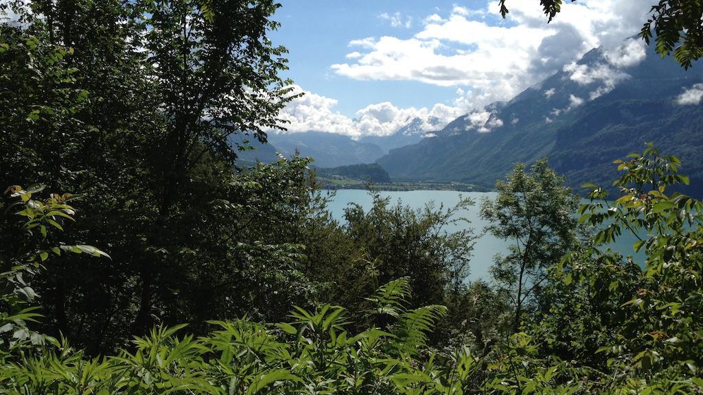 Seeli Hofstetten bei Brienz Room photo
